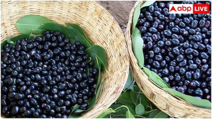 जामुन के बीज शरीर की इंसुलिन सेंसेटिविटी को बेहतर बनाने में सहायक होते हैं. इसका मतलब है कि शरीर की कोशिकाएं इंसुलिन का बेहतर तरीके से उपयोग कर पाती हैं, जिससे ग्लूकोज (शुगर) को ब्लड से कोशिकाओं में अधिक प्रभावी ढंग से अर्ब्जाब किया जा सकता है. यह टाइप-2 डायबिटीज वाले लोगों के लिए विशेष रूप से फायदेमंद है, जहां अक्सर इंसुलिन रेजिस्टेंस की समस्या होती है.