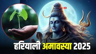 Hariyali Amavasya 2025: गुरु पुष्य योग में हरियाली अमावस्या, इन 5 उपायों से दूर होगी धन की परेशानी