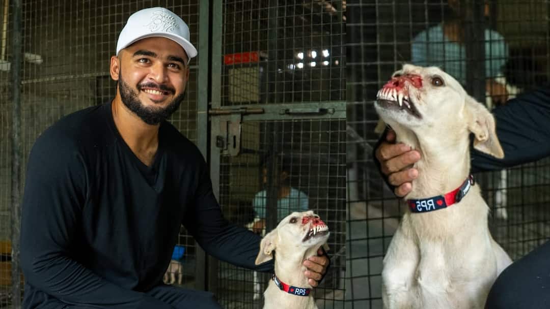 indian cricketer riyan parag adopt dog from shelter tells inspirational story 'वो 1 हफ्ते में मर जाता...', क्रिकेटर रियान पराग ने गोद लिया एक घायल Dog, बताया कैसे बची इसकी जान