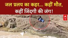 Monsoon Havoc: MP में Ayush की मौत, Chhattisgarh में बुजुर्ग फंसा, Rajasthan में सड़क पर Fish!