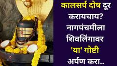 Nag Panchami 2025: कालसर्प दोष दूर करायचाय? नागपंचमीच्या दिवशी शिवलिंगावर 'या' गोष्टी अर्पण करा, भगवान शिव स्वत: पाठीशी असतील