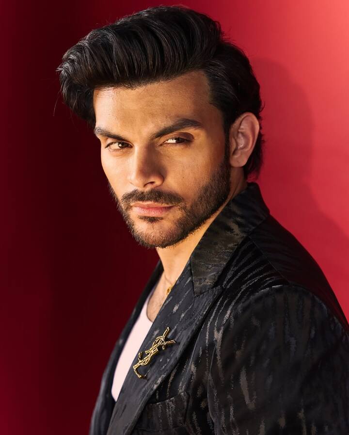 Veer Pahadia is the grandson of former Maharashtra Chief Minister Sushil Kumar Shinde. His father is Sanjay Pahadia and he does business, as well as his mother Smriti Shinde is associated with the TV industry.