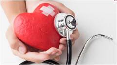 Healthy Food for Heart : కొలెస్ట్రాల్​ని తగ్గించి.. గుండె ఆరోగ్యానికి మేలు చేసే టాప్ 6 ఫుడ్స్ ఇవే