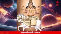 শুরু হয়ে গিয়েছে শুক্রের চরম প্রভাব, তিন রাশিকে তুলবে উন্নতির শীর্ষে, স্বপ্নাতীত সময়