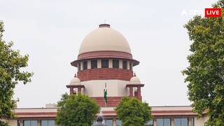 केंद्र ने जताई नेपाल के रास्ते रूसी मां के बच्चे के साथ भागने की आशंका, सुप्रीम कोर्ट ने सख्त कार्रवाई का दिया संकेत