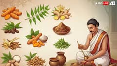 Patanjali:45 ஆயிரம் கோடியைத் தாண்டிய ஆண்டு வருவாய்.. நாட்டின் 3வது மிகப்பெரிய FMCG பிராண்ட் பதஞ்சலி!