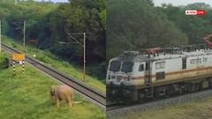 Technologia! रेल लाइन पर बचेगी हाथियों की जान, AI बजाएगा अलार्म, कैसे काम करेगी टैक्नोलॉजी?