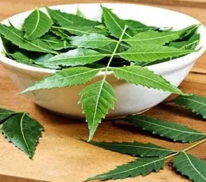 ਕੜੀ ਪੱਤਿਆਂ ਦਾ ਪਾਣੀ ਬਣਾਉਣਾ ਬਹੁਤ ਹੀ ਆਸਾਨ ਹੈ ਅਤੇ ਇਹ ਸਿਹਤ ਲਈ ਬੇਹੱਦ ਫਾਇਦੇਮੰਦ ਹੁੰਦਾ ਹੈ। ਇਸ ਨੂੰ ਬਣਾਉਣ ਲਈ ਸਭ ਤੋਂ ਪਹਿਲਾਂ 10 ਤੋਂ 15 ਤਾਜ਼ੇ ਕੜੀ ਪੱਤੇ ਲਓ। ਹੁਣ 1.5 ਗਿਲਾਸ ਪਾਣੀ ਲੈ ਕੇ ਉਸ ਵਿੱਚ ਇਹ ਕੜੀ ਪੱਤੇ ਪਾ ਦਿਓ ਅਤੇ ਇਸ ਮਿਸ਼ਰਣ ਨੂੰ ਲਗਭਗ 5 ਤੋਂ 7 ਮਿੰਟ ਤੱਕ ਚੰਗੀ ਤਰ੍ਹਾਂ ਉਬਾਲੋ।