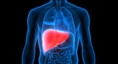 Liver: ਲੀਵਰ ਨੂੰ ਸਿਹਤਮੰਦ ਰੱਖਣ ਲਈ ਖੁਰਾਕ 'ਚ ਸ਼ਾਮਲ ਕਰੋ ਇਹ ਚੀਜ਼ਾਂ, ਬੁਢਾਪੇ 'ਚ ਵੀ ਨਹੀਂ ਹੋਵੇਗਾ ਖਰਾਬ!