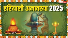 हरियाली अमावस्या 24 या 25 जुलाई कब ? सही तारीख में पूजा, स्नान-दान का मिलेगा फल