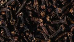 मानसून के सीजन में नमक और चीनी में आने लगी है नमी, ये है परमानेंट इलाज