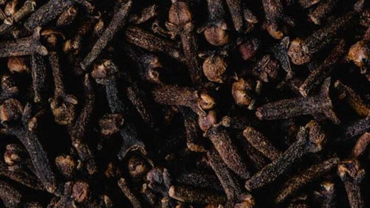 मानसून के सीजन में नमक और चीनी में आने वाली नमी को रोकने के लिए लौंग का भी यूज कर सकते हैं. 3–4 लौंग चीनी और नमक के डिब्बे में डालने से नमी कम होती है और चींटियां भी नहीं लगती हैं. आप चाहें तो लौंग को कपड़े में बांधकर भी रख सकते हैं.