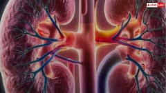 Kidney Health Tips: āĻĒā§āϰāϤāĻŋāĻĻāĻŋāύ āĻĒāĻžāύ āĻāϰā§āύ āĻāĻ āϏā§āĻŦāĻžāϏā§āĻĨā§āϝāĻāϰ āĻĒāĻžāύā§āϝāĻŧ, āĻāĻŋāĻĄāύāĻŋ āϏāĻŦāϏāĻŽāϝāĻŧ āĻĨāĻžāĻāĻŦā§ āĻĢāĻŋāĻ