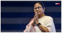 'देखते हैं क्या होता है', जगदीप धनखड़ के इस्तीफे पर ममता बनर्जी का पहला रिएक्शन, जानें क्या कहा?