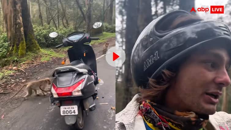 विदेशी को लूट ले गए देशी बंदर…पूरी गैंग ने मिलकर गाड़ी पर बोला धावा- वीडियो देख यूजर्स ने लिए विदेशी को लूट ले गए देशी बंदर…पूरी गैंग ने मिलकर गाड़ी पर बोला धावा- वीडियो देख यूजर्स ने लिए
