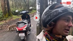 विदेशी को लूट ले गए देशी बंदर...पूरी गैंग ने मिलकर गाड़ी पर बोला धावा- वीडियो देख यूजर्स ने लिए मजे