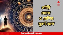 হাতের নাগালেই চাকরি, টাকা, সঠিক সুযোগ, শুধু ধরার অপেক্ষা, গৌরি যোগে তুঙ্গে ৫ রাশির ভাগ্য