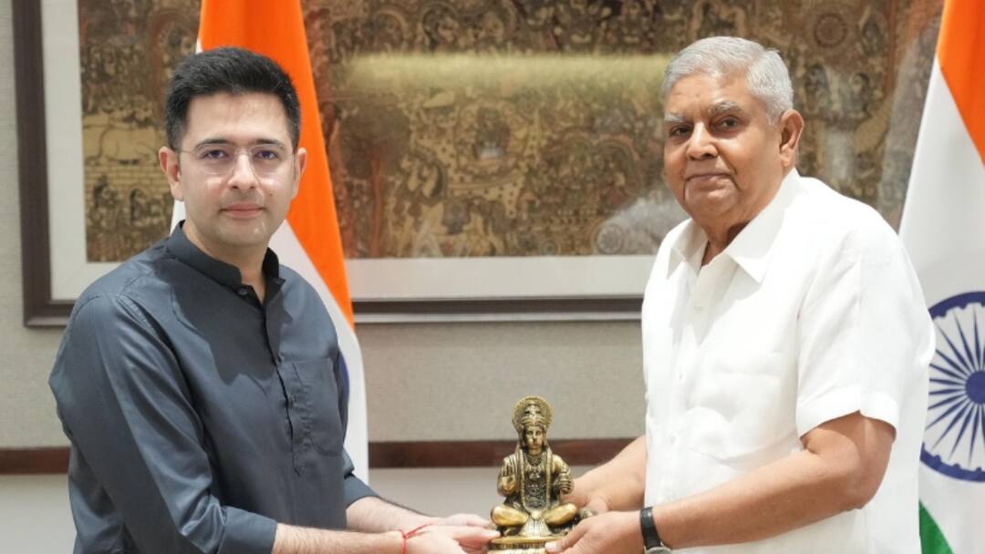 उपराष्ट्रपति जगदीप धनखड़ के इस्तीफे पर AAP सांसद राघव चड्ढा का बड़ा बयान, कहा- 'संयोग से...' AAP MP Raghav Chadha on the resignation of Vice President Jagdeep Dhankhar Delhi उपराष्ट्रपति जगदीप धनखड़ के इस्तीफे पर AAP सांसद राघव चड्ढा का बड़ा बयान, कहा- 'संयोग से...'