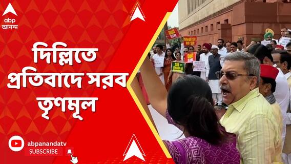 ভিন রাজ্যে বাঙালিদের উপর অত্যাচারের অভিযোগ, দিল্লিতে প্রতিবাদে সরব তৃণমূল