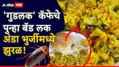 Goodluck Cafe : आधी बन मस्कामध्ये काच, आता अंडा भूर्जीमध्ये झुरळ सापडलं; 'गुडलक' कॅफेचे पुन्हा बॅड लक