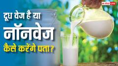 कौन सा दूध वेज है कौन सा नॉनवेज...कैसे चलेगा पता? India-US ट्रेड डील से पहले जान लें जवाब