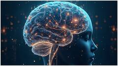 ప్రపంచ బ్రెయిన్ డే 2025.. మెదడు ఆరోగ్యాన్ని మెరుగుపరిచి, మతిమరుపును దూరం చేసే టాప్ 5 ఫుడ్స్ ఇవే