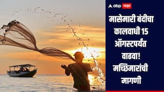 मासेमारी बंदीचा कालवाधी 15 ऑगस्टपर्यंत वाढवा, महाराष्ट्रासह गुजरातच्या मच्छिमारांची मंत्री राणेंकडे मागणी 