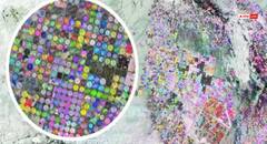 रेत में दिखे बड़े-बड़े सर्किल, जिन्हें देखकर चौंक गए लोग... आखिर क्यों चर्चा में है सऊदी अरब का रेगिस्तान?