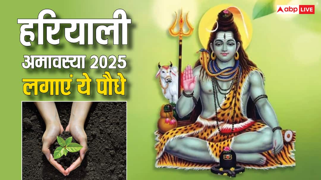 Sawan month Hariyali amavasya 2025 these plants are planted for happiness and prosperity Hariyali Amavasya 2025: हरियाली अमावस्या पर कौन से पेड़-पौधे लगाना होता है शुभ