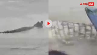 गंगा नदी में मछुआरों ने मगरमच्छ का किया बुरा हाल! परेशान होकर मचाने लगा त्राहिमाम- वीडियो वायरल
