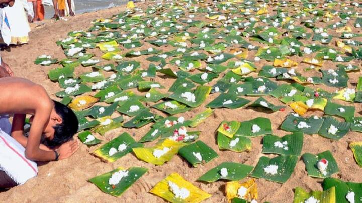 இந்த நாளில் முன்னோர்களுக்கு தர்ப்பணம் அளிப்பதால் அவர்களின் ஆசி கிடைக்கும்.