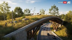 India's Longest Wildlife Corridor Unveiled On Delhi-Mumbai Expressway By NHAI