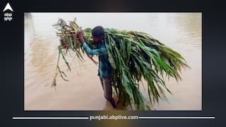 Flood in India: ਕਿਸਾਨਾਂ ਦੀ ਜੂਨ ਬੁਰੀ! ਬਾਰਸ਼ ਤੇ ਹੜ੍ਹਾਂ ਨੇ ਮਚਾਈ ਤਬਾਹੀ, 1.58 ਲੱਖ ਹੈਕਟੇਅਰ ਫਸਲਾਂ ਤਬਾਹ