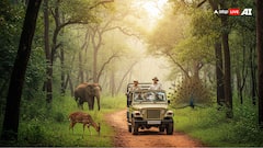 Experiencing Wildlife — Places In Western Ghats For Jungle Safari Adventures