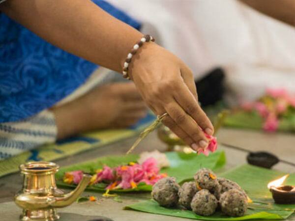ஆடி அமாவாசை முன்னோர்களின் ஆசி பெறுவதற்கு மிகவும் உகந்த நாள் ஆகும்.