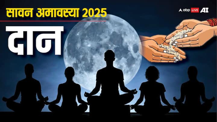 Sawan Amavasya 2025 Daan: 24 जुलाई 2025 को सावन अमावस्या है. यह दिन पितृ पूजन, तर्पण, पवित्र नदी में स्नान और दान के लिए महत्वपूर्ण माना जाती है. इस दिन कुछ चीजों का दान करने से पितृ प्रसन्न होते हैं.