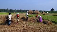Andhra Pradesh CM Naidu Orders Satellite Crop Survey, AI Integration To Boost Farmer Welfare