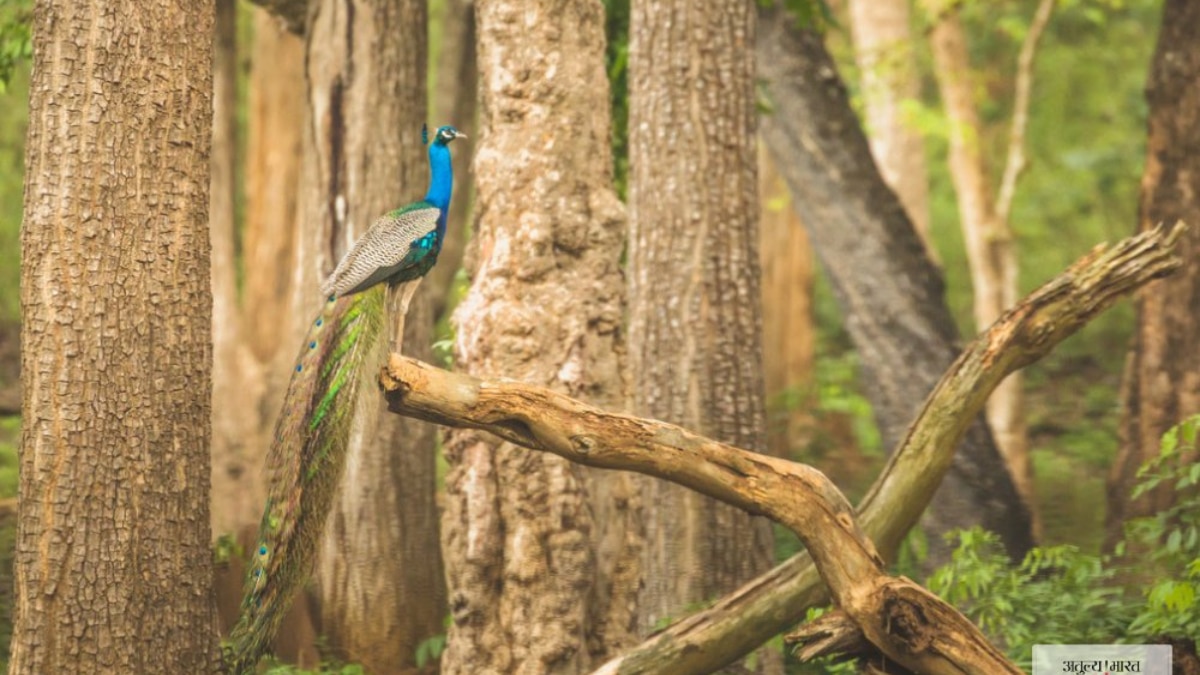 (Image Source: x/ incredibleindia)