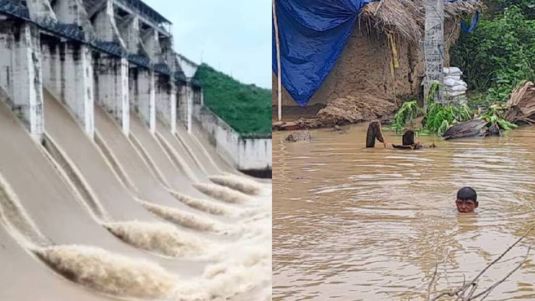 Bihar Ganga river cross control line Flood threat All gates of Farakka Barrage opened Bihar Flood: बिहार में बक्सर से खगड़िया तक बाढ़ का खतरा, खोले गए फरक्का बराज के सभी गेट