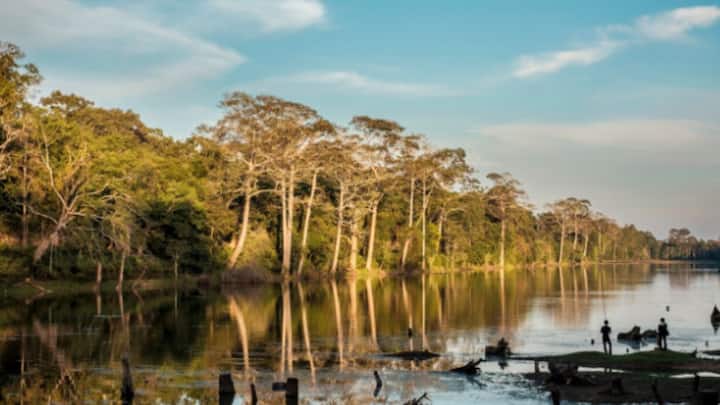 খিদে কমছে উদ্ভিদের। আগের মতো কার্বন ডাই অক্সাইড শোষণ করছে না বলে আগেই অশনি সঙ্কেত মিলেছিল। এবার পেরুর আমাজন থেকে উদ্বেগের খবর সামনে এল। সেখানকার জলাভূমি আর কার্বন শোষণ করছে না বলে জানালেন বিজ্ঞানীরা।