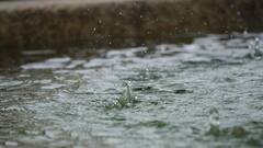 Cyclone Wipha To Bring Heavy Rain To Kerala; Yellow Alert In 8 Districts