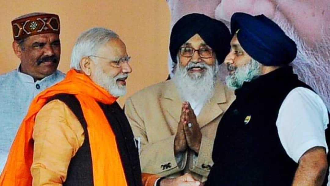 पंजाब चुनाव के लिए BJP ने अभी से तय कर लिया प्लान! SAD के साथ गठबंधन होगा या नहीं? इस नेता ने बताया Ashwani Sharma Claims BJP Will Contest Punjab Assembly Election 2027 on all 117 Seats Alliance with SAD Not Possible पंजाब चुनाव के लिए BJP ने अभी से तय कर लिया प्लान! SAD के साथ गठबंधन होगा या नहीं? इस नेता ने बताया