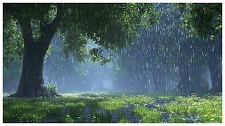 AP Weather Alert: ఆంధ్రప్రదేశ్‌లో భారీ వర్షాలు, పిడుగులు! ఈ జిల్లాల్లో ప్రమాదం, ప్రజలు అప్రమత్తంగా ఉండండి!