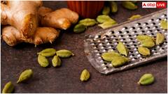 खाने के तुरंत बाद इलायची खाई तो क्या होगा, फायदा मिलेगा या नुकसान?