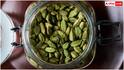 Cardamom Benefits : భోజనం చేసిన యాలకులను తింటే ఎన్ని లాభాలో తెలుసా?