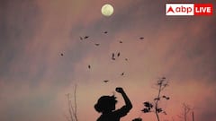 चंद्रमा को मामा ही क्यों कहते हैं लोग? नाना, चाचा या भाई क्यों नहीं?