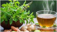 వర్షాకాలంలో వచ్చే ఆరోగ్య సమస్యలను దూరం చేసే ఆయుర్వేద చిట్కాలివే.. ఇమ్యూనిటీని పెంచుకోండిలా