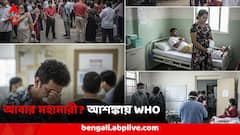২০ বছর পর আবার মহামারী? হু হু করে ছড়াচ্ছে চিকুনগুনিয়া, ফল মারাত্মক, গুরুতর আশঙ্কাপ্রকাশ WHO-র