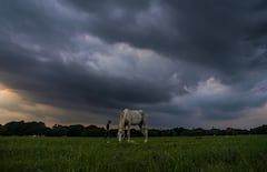 Rain Forecast Kolkata: ফের ঘনিয়ে আসছে নিম্নচাপ, সপ্তাহান্তে ভিজবে কলকাতা, ভারী বৃষ্টির সম্ভাবনা কোন কোন জেলায়?