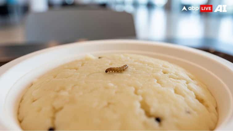 Worm Found In Pongal At Bengaluru Airport’s Rameshwaram Cafe